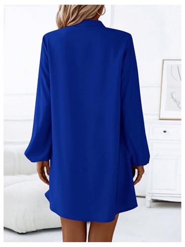 Women's V Neck Pullover Shirt Dress A Line Long Lantern Sleeve Flared Loose Mini Dresses