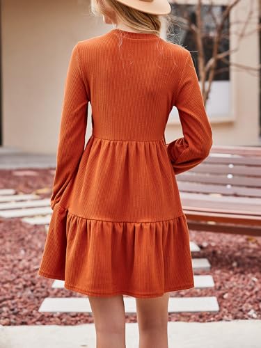 Women's Mini Fall Dresses Knit Casual Long Sleeve Crew Neck Flowy Tiered Ruffled Short Sweater Dress